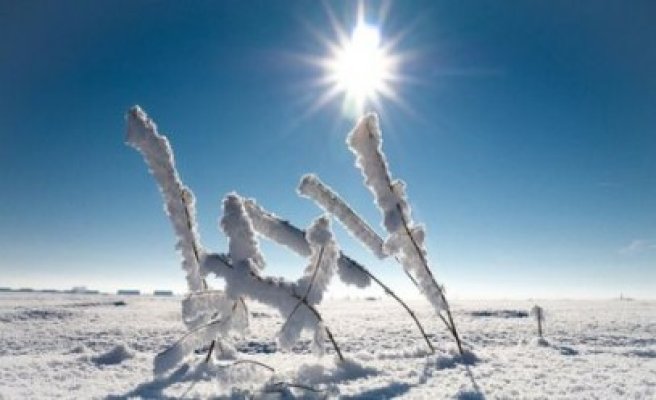 Primăvară de Crăciun. Temperaturile vor ajunge până la 17 grade. Vezi prognoza meteo